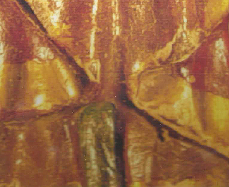 16 POLYVIRGEN MAGDALENA 6