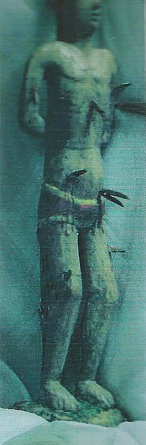 22 INDIANO